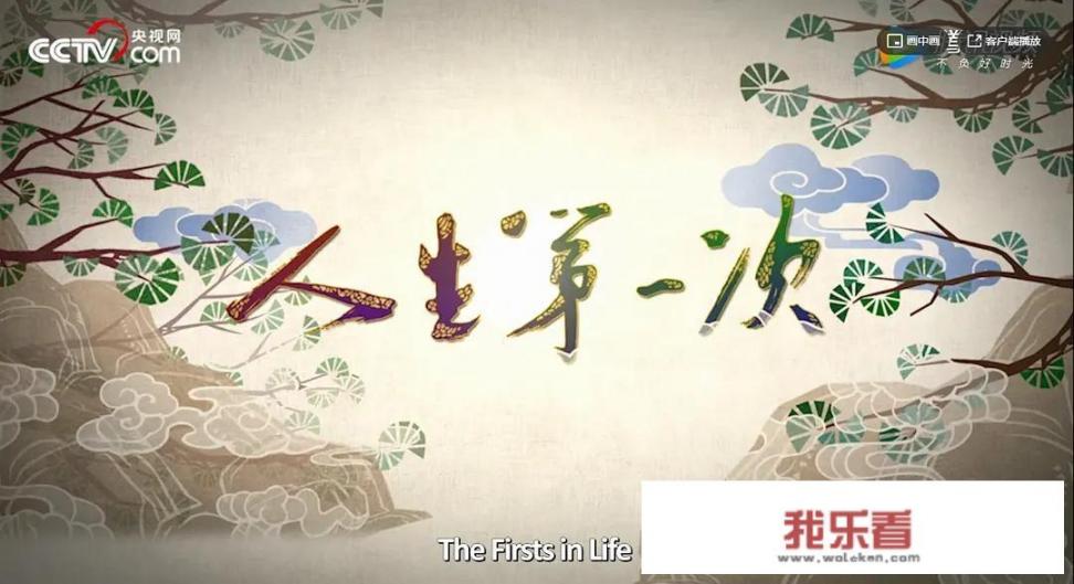 纪录片《人生第一次》，观看后对你最大的感触是什么？