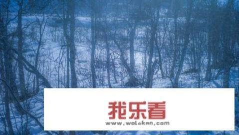 为什么有人会喜欢读《挪威的森林》？