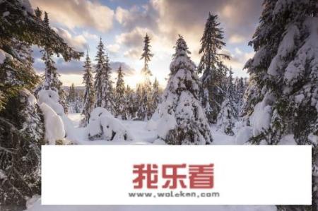 为什么有人会喜欢读《挪威的森林》？