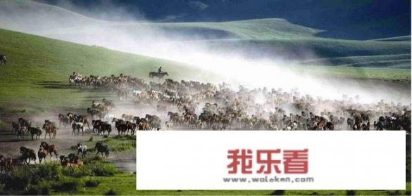 张掖山丹的军马场值得一去吗？