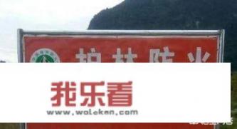 又到了清明时节，回农村老家上坟应注意哪些事情？