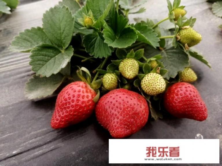 夏季风光，花卉、街景、美食、美女、时装农村等拍摄什么作品好？