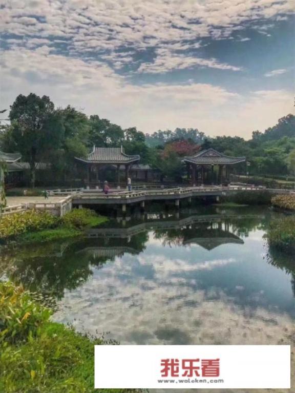 夏季风光，花卉、街景、美食、美女、时装农村等拍摄什么作品好？