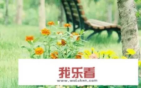 旅游广告怎么写？