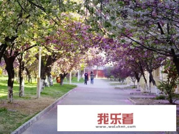 在北京工业大学耿丹学院就读是一种怎样的体验？