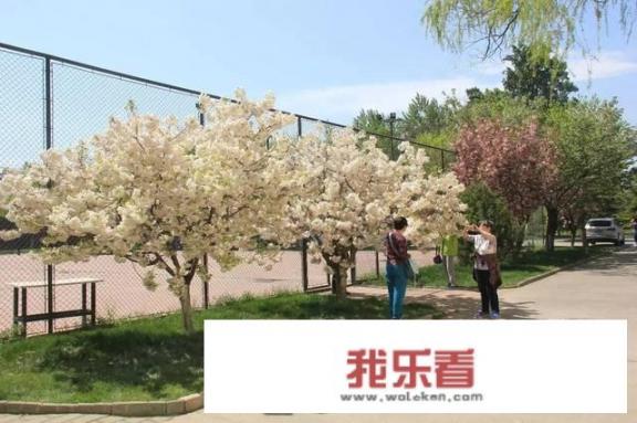 在北京工业大学耿丹学院就读是一种怎样的体验？