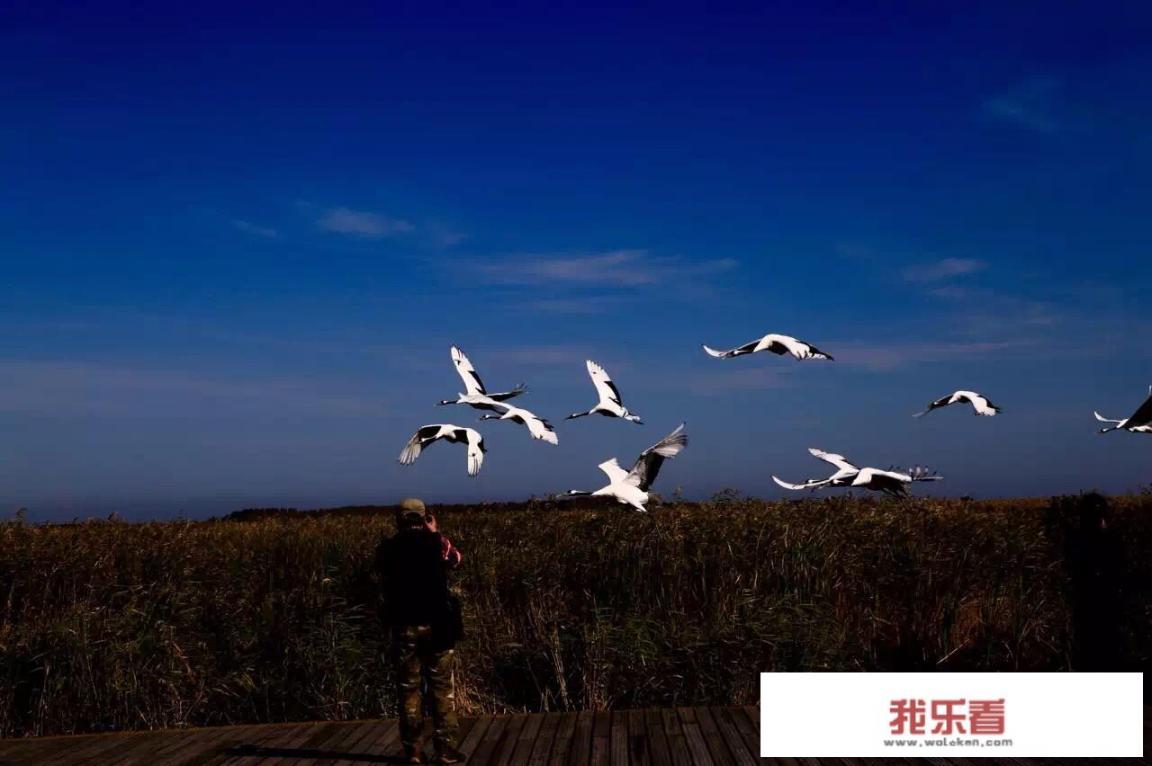 扎龙自然保护区有什么推荐路线吗？