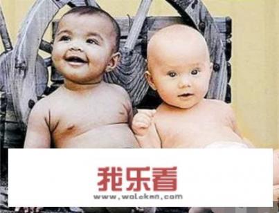 台湾电视剧两个爸爸的结局怎么是那那样的啊？有没有第二部啊？