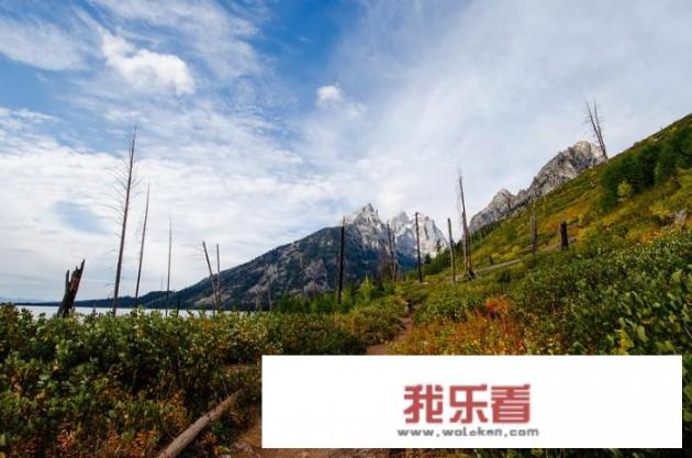 美国黄石国家公园？