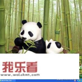 什么类型的壁纸和皮肤既护眼又好看？