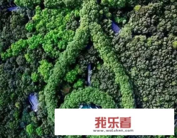 南京美龄宫床上惊现“裸女”，大家怎么看？