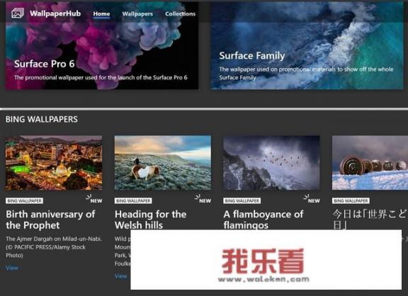 微软的官方壁纸都非常不错，哪个网站可以一站式下载？