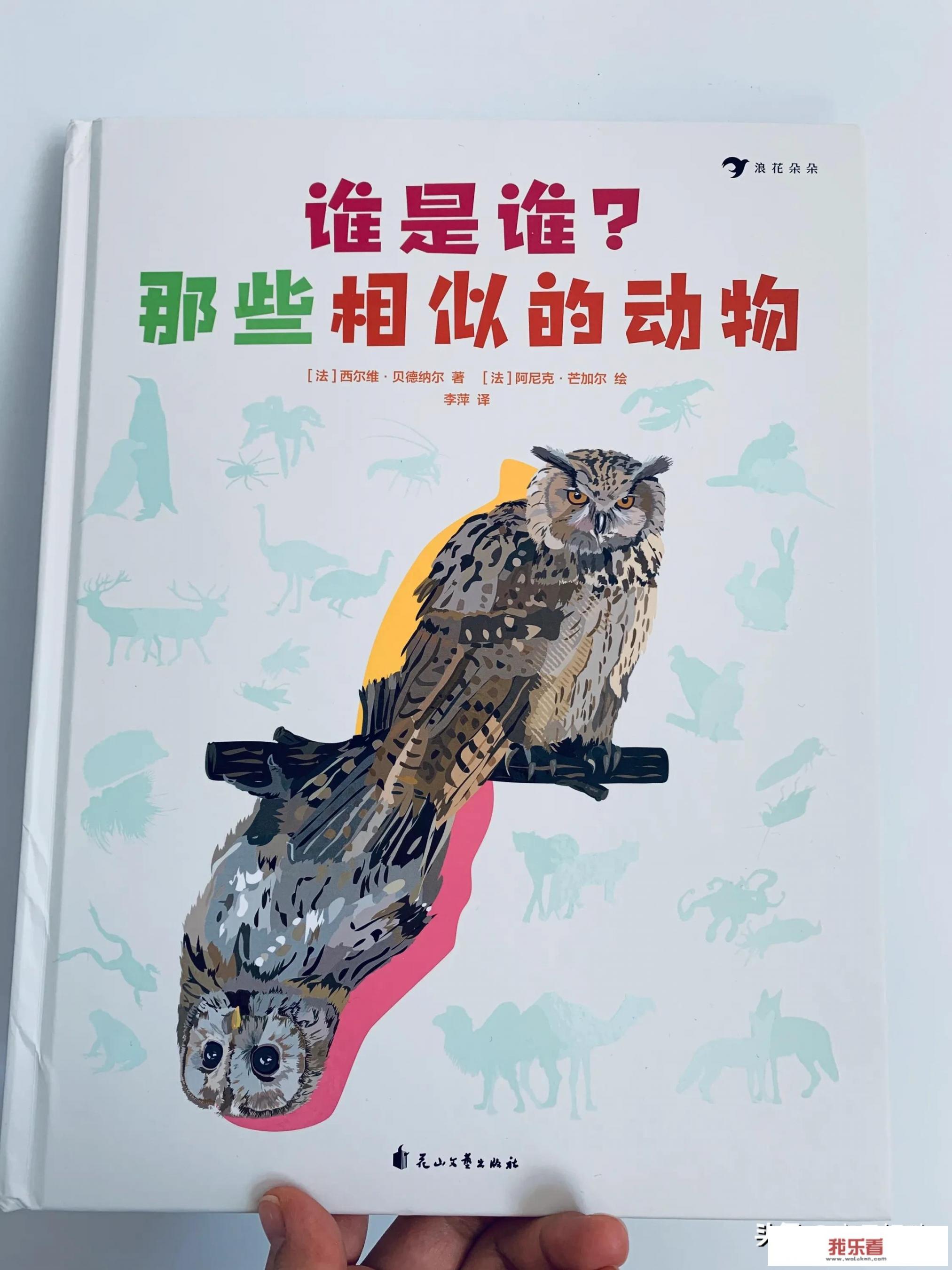全国青年小动物保护科普奖励怎么领取？