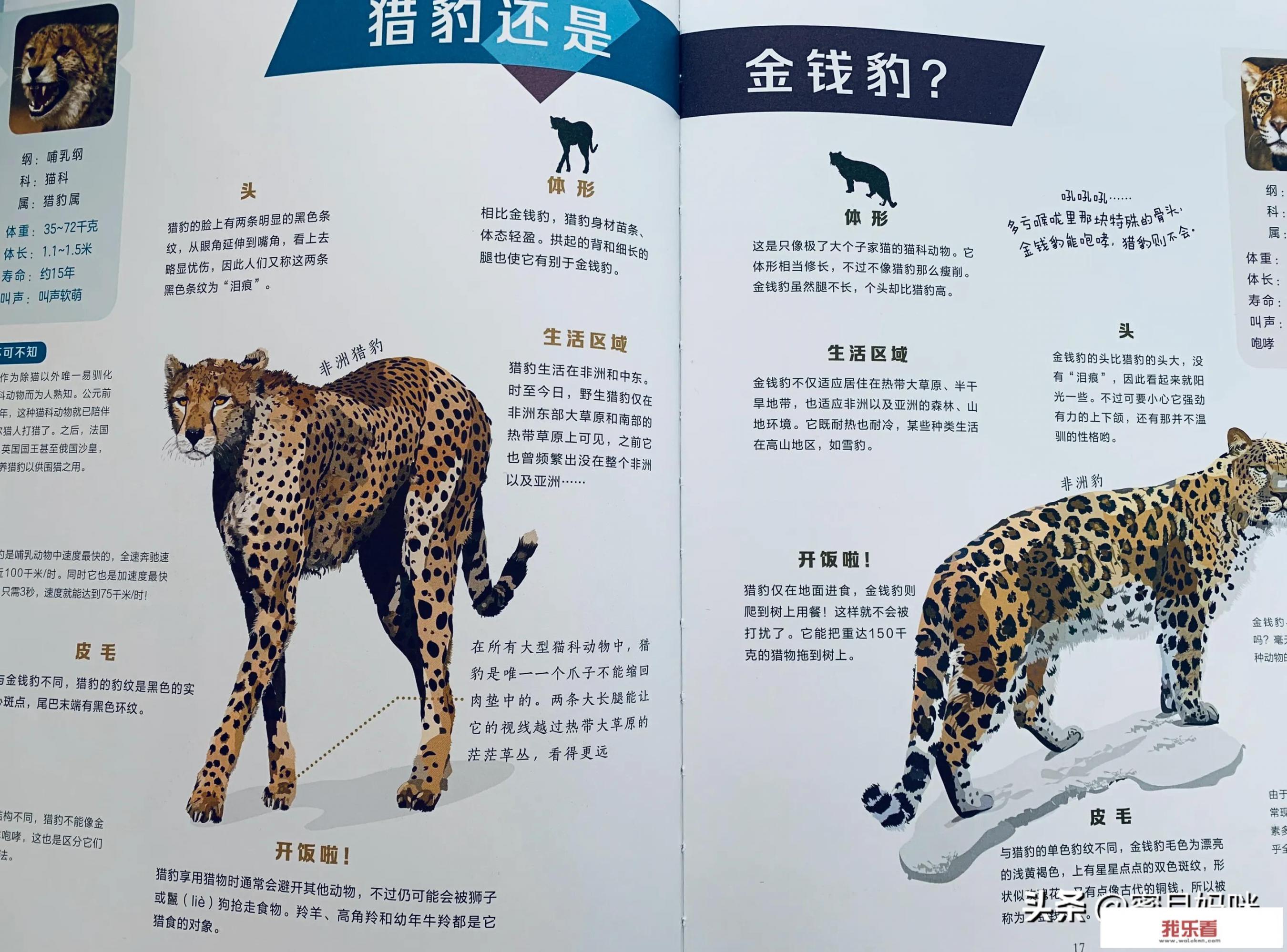 全国青年小动物保护科普奖励怎么领取？
