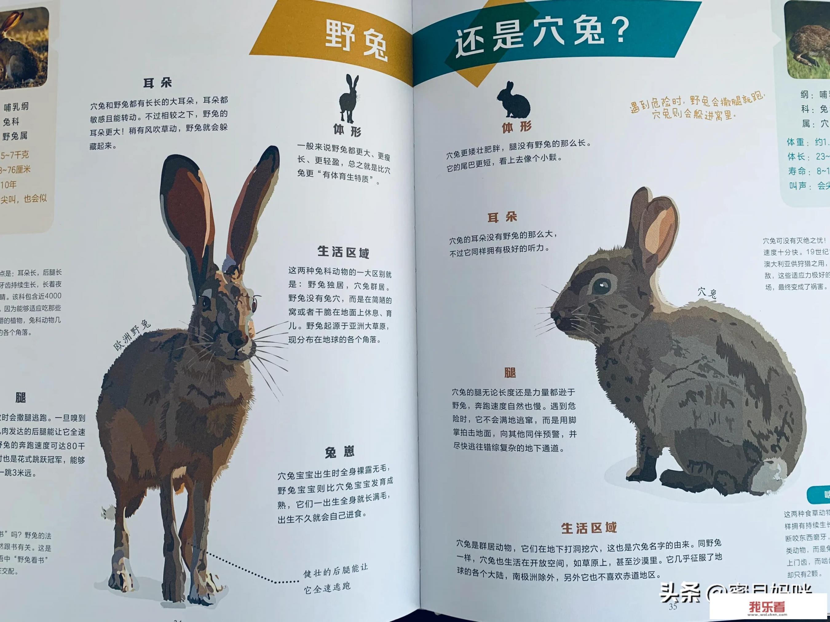 全国青年小动物保护科普奖励怎么领取？