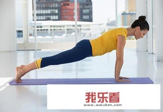 动物世界中拍摄蚂蚁洞穴，并追踪蚂蚁是如何拍摄的？