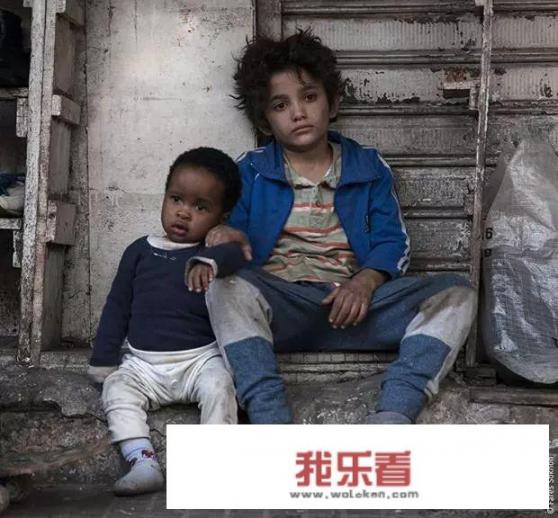 何以为家评价语录？