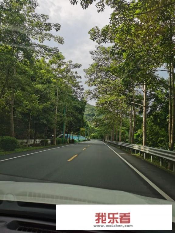 4个人去开平香江温泉大概要多少钱？