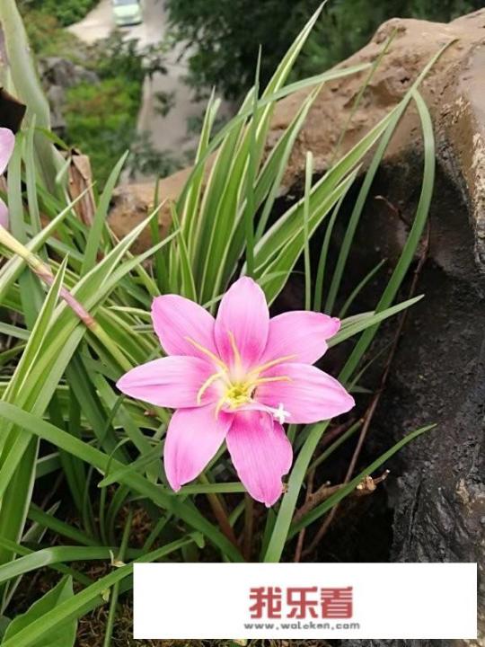 哪里可以下载到有关于北京风景的照片？