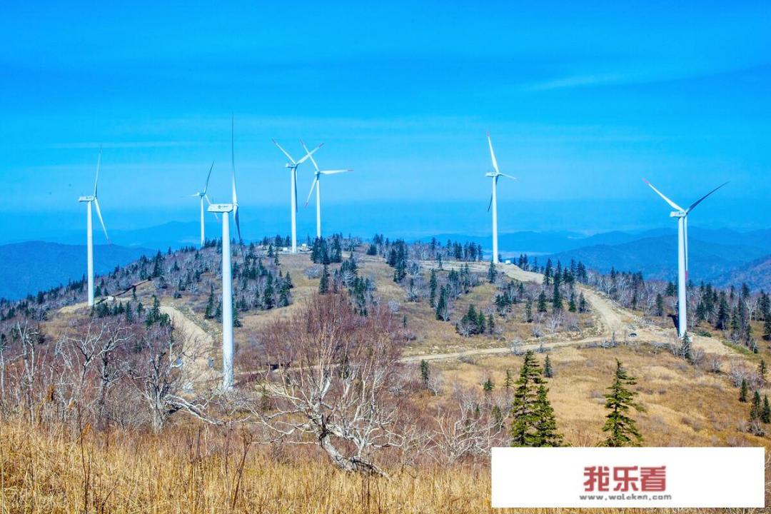风力发电机的一台需要多少钱？