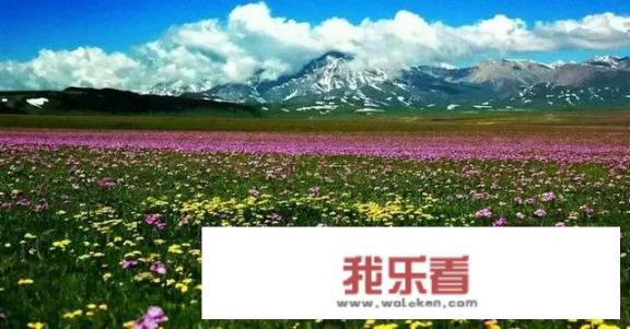 能不能说说你心中最美的一段话，配几张春天图片可以吗？