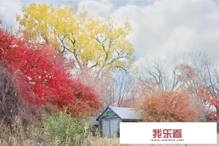 能不能说说你心中最美的一段话，配几张春天图片可以吗？