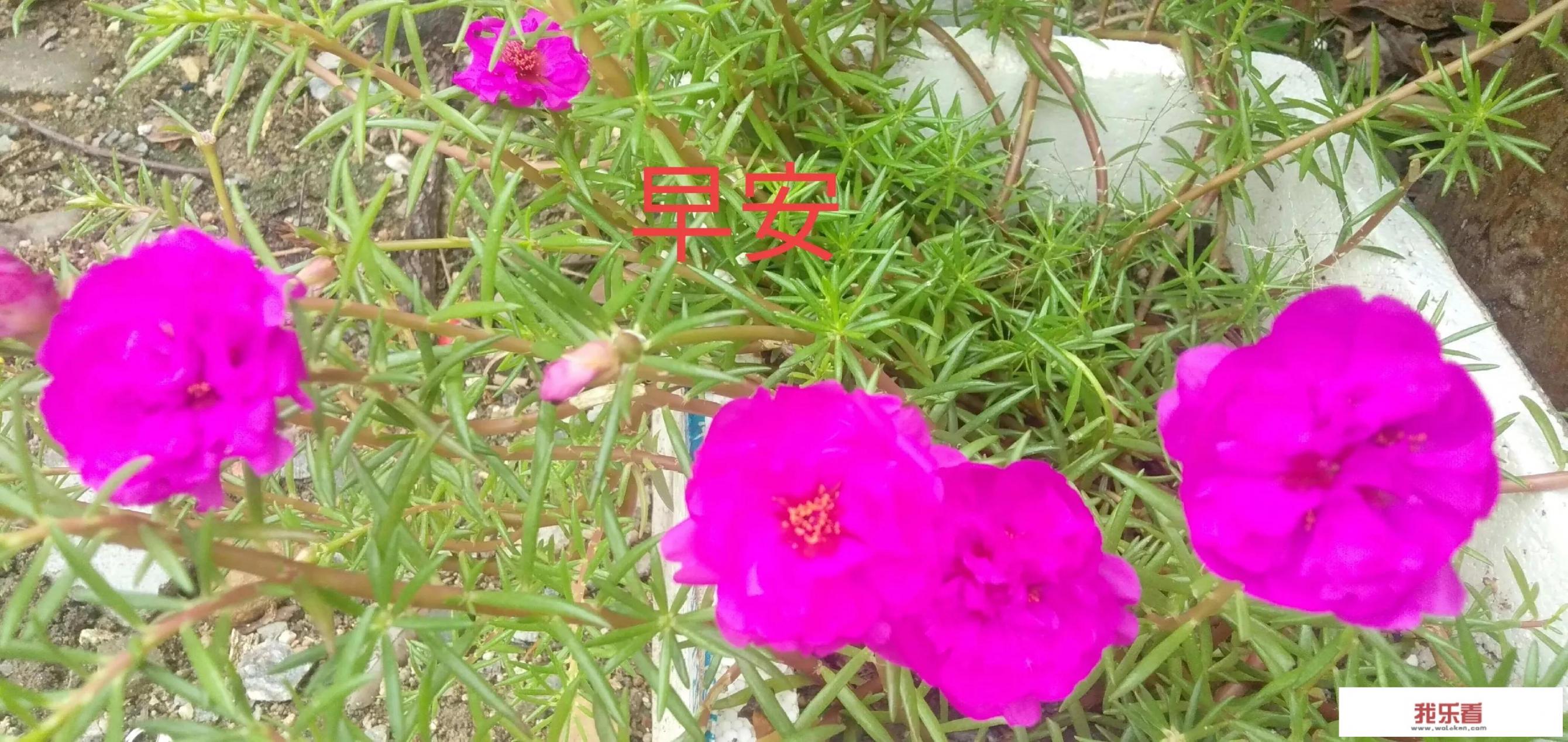 说说你有没有遇到过的同名同姓奇遇？