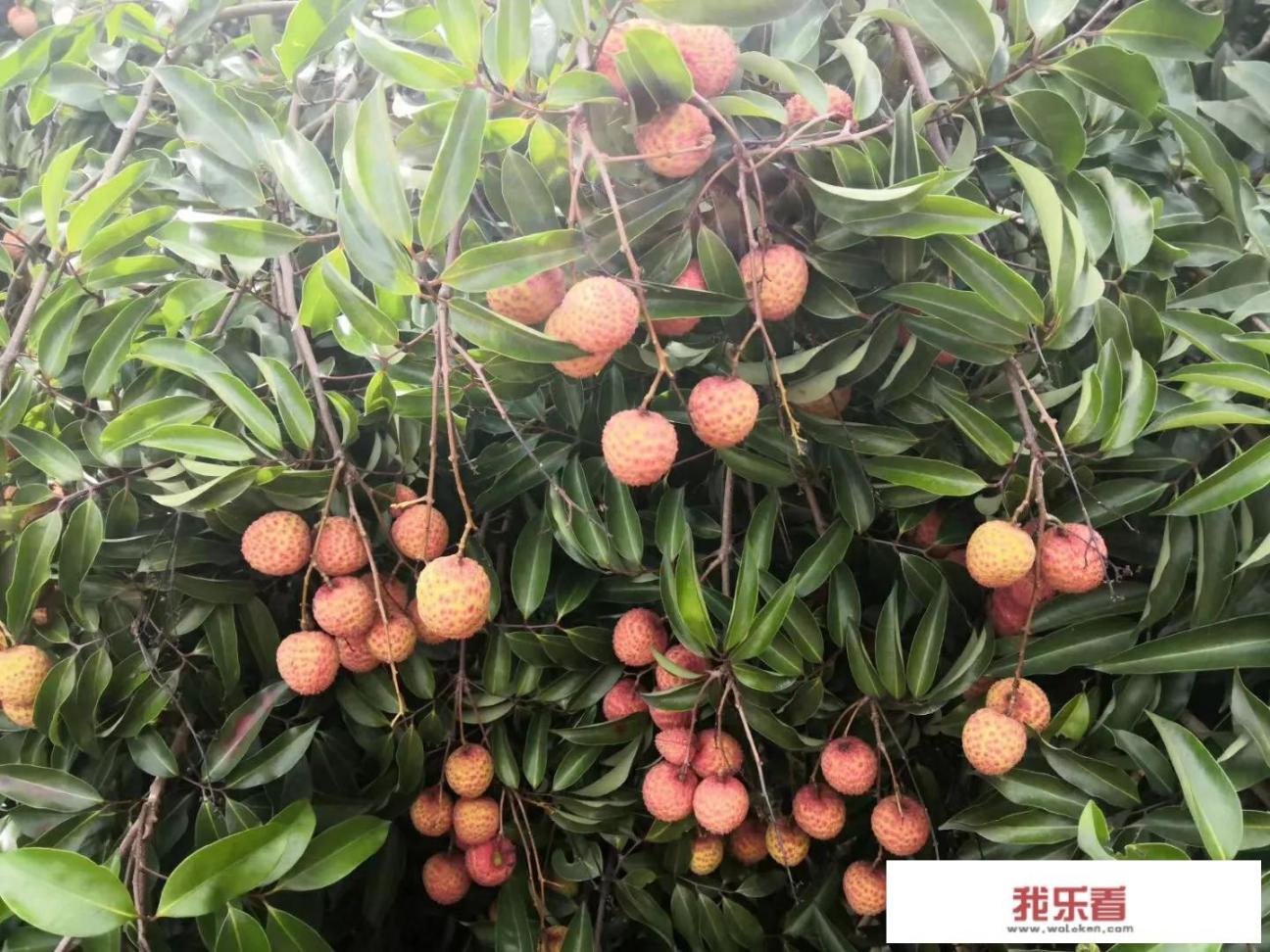 说说你有没有遇到过的同名同姓奇遇？