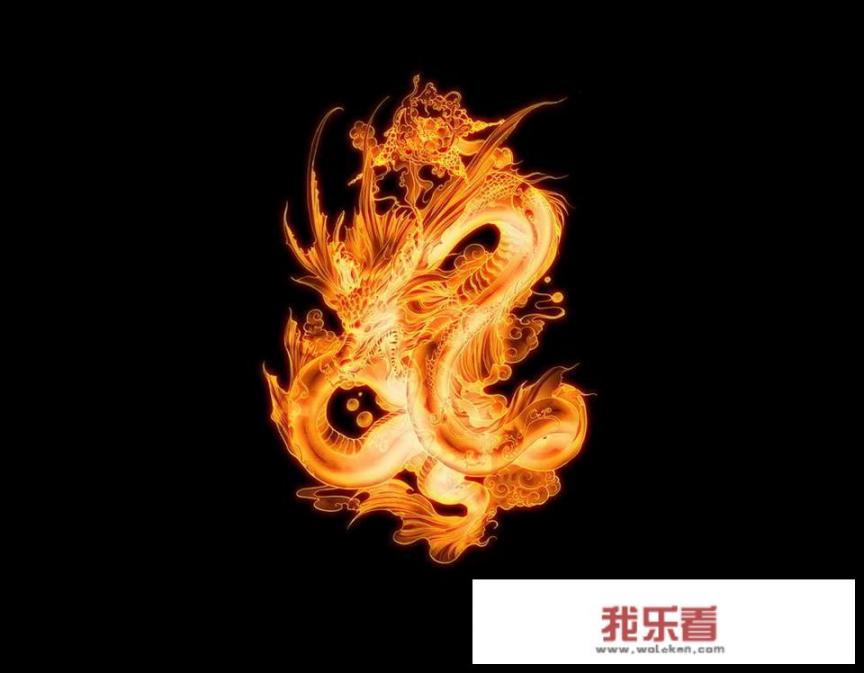 一张图片上一个龍一个龙是什么成语？