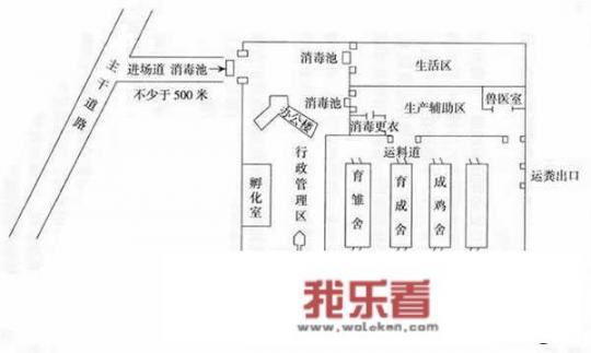地下养鸡场怎么设计？