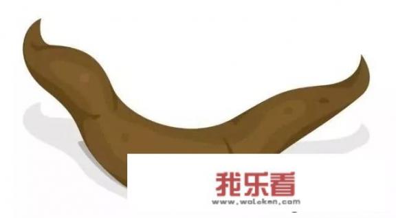 排便时出现的“4种异常”，千万别忽略，很可能是肠癌找上门，你知道哪4点吗？