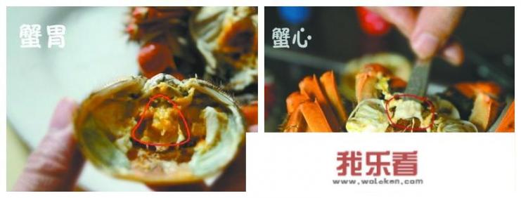 冰箱保存螃蟹设置几档？