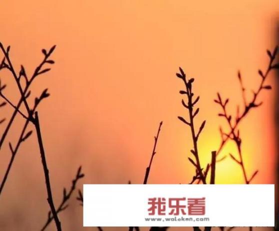 农村里面的玉米现在种植会不会受到天气的影响？