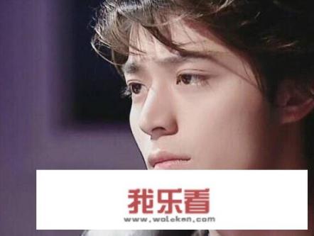 霍建华为什么没戏拍了？