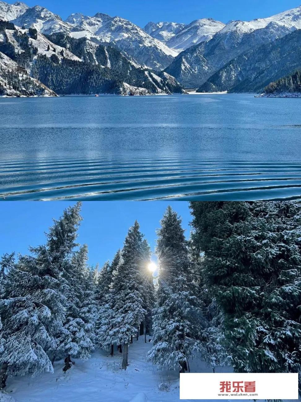 为什么现在发网络图片的火了，被各种风景花草图片刷屏了？