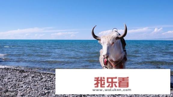 六月底想去青海玩，看天气预报未来40天30天都有雨，不下雨也是阴天，还能去吗？