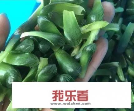英特尔酷睿t9900鲁大师跑分(图片)？