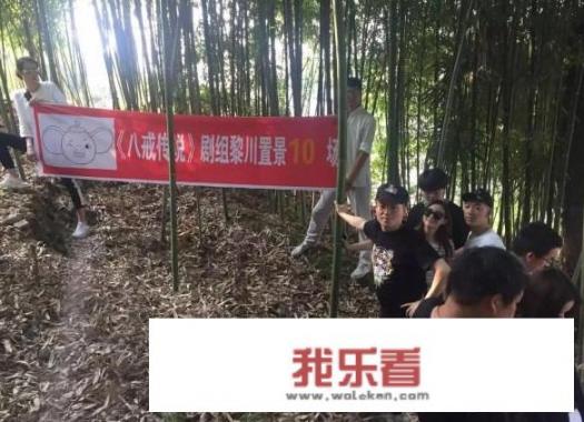 2019年属相是属什么的？