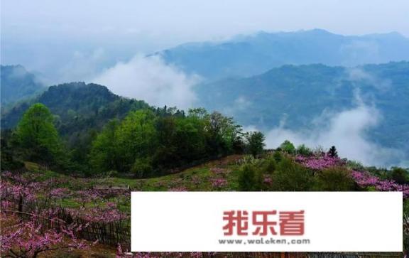 谁有生活当中遇到最美的风景分享一下？