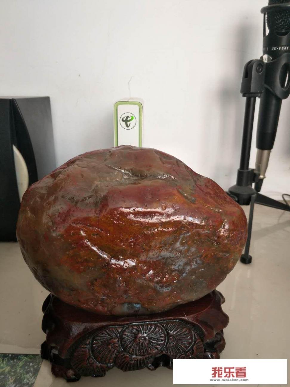 熊猫泰山和饲养员布莱恩的故事？