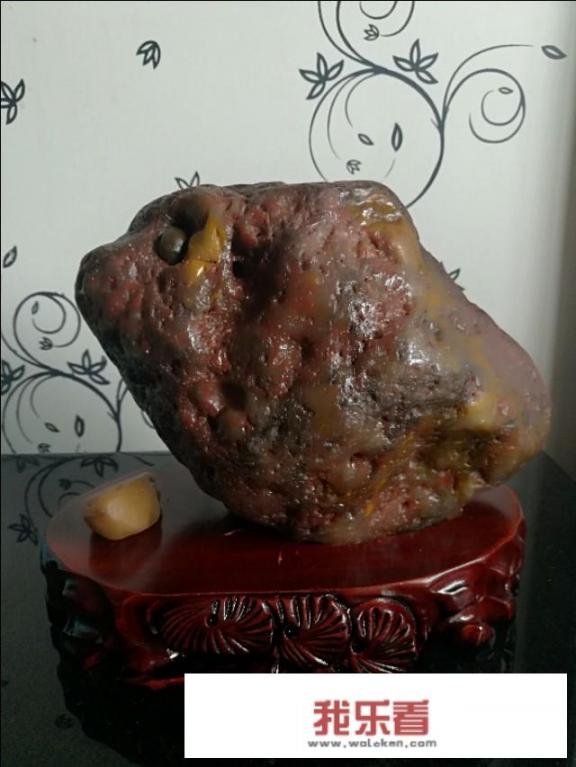 熊猫泰山和饲养员布莱恩的故事？