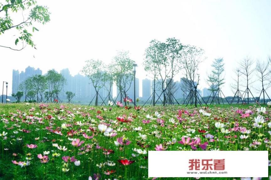 泉州中心客运站有到滨海医院的公交车吗坐几路车；帮帮我？