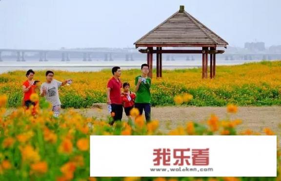 泉州中心客运站有到滨海医院的公交车吗坐几路车；帮帮我？