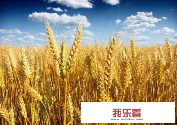为什么有些产品淘宝把价格调到很低？