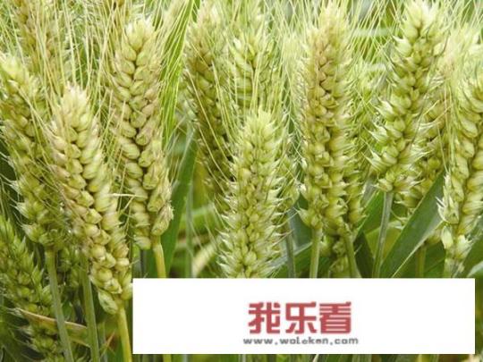 为什么有些产品淘宝把价格调到很低？