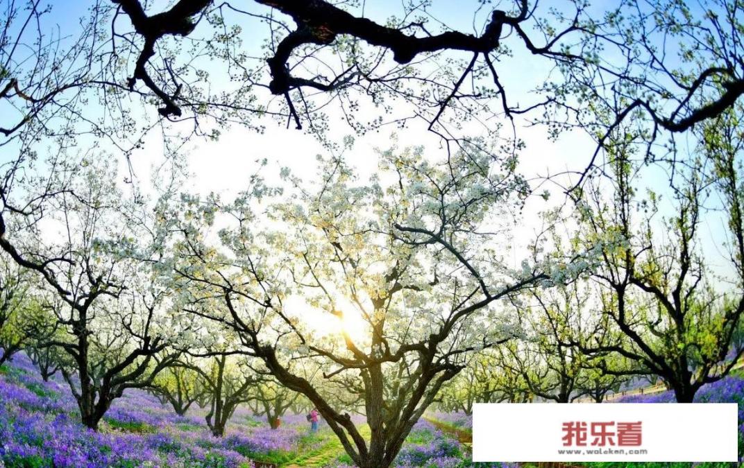 温泉都要带啥？