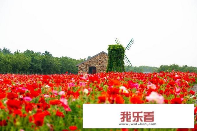 温泉都要带啥？