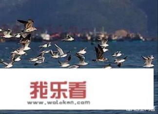 双月湾的平海湾和红海湾哪个漂亮？