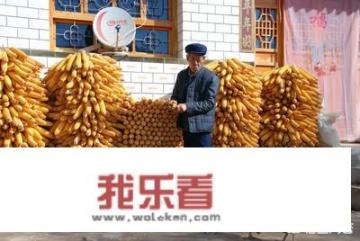 想在农村办个100只的养鸡场，大约需要投资多少钱？