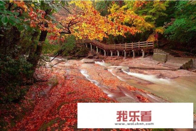 光雾山到底怎么样？